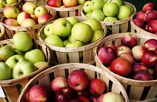 apple picking VA