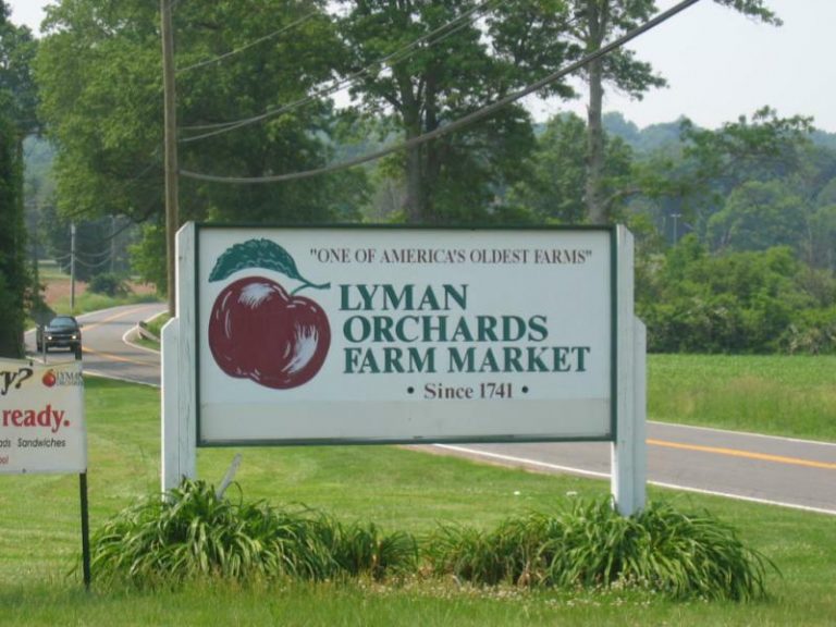 Cherry picking farm near me