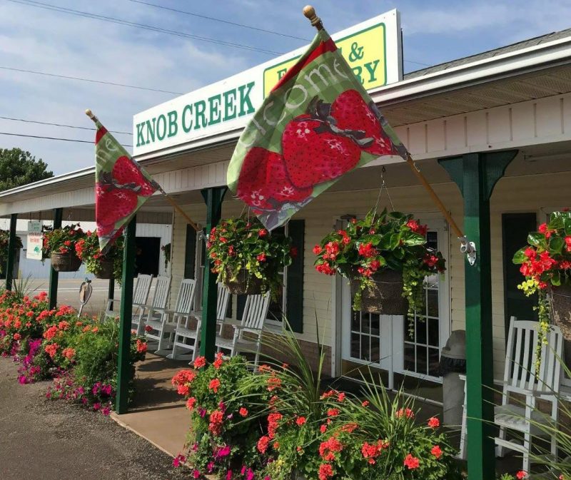 5 Great Places For The Best Cherry Picking VA Fruit Picking Farms Near Me