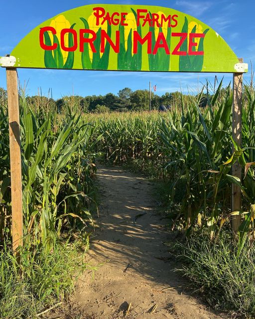 corn mazes in NC