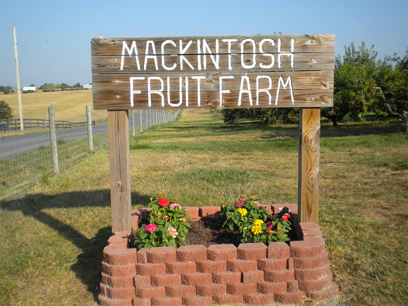 raspberry farms in virginia