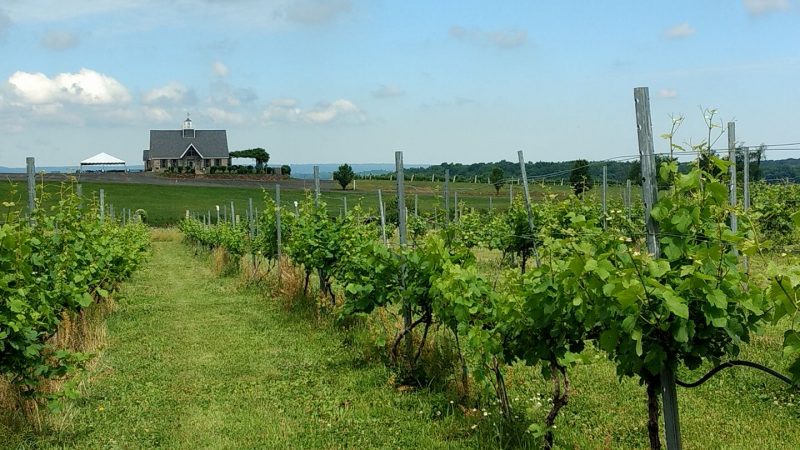 vineyards in connecticut