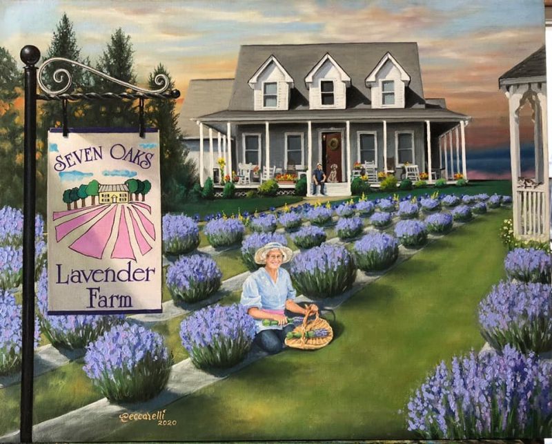 lavender farms VA