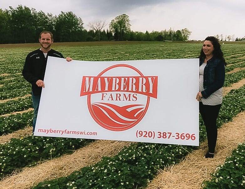 strawberry picking in wisconsin