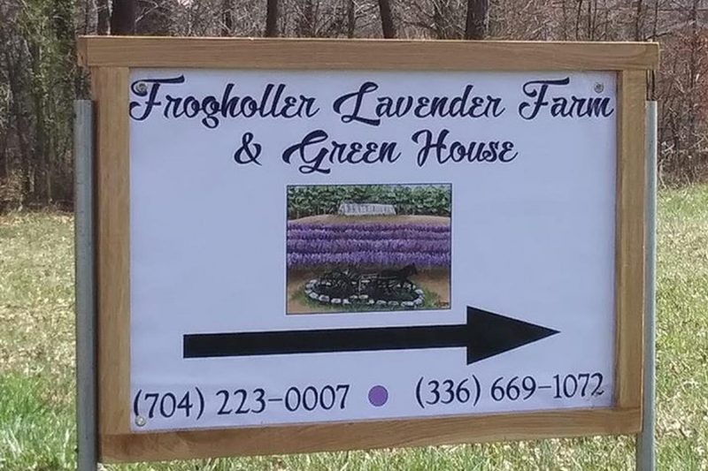 Lavender Farm NC