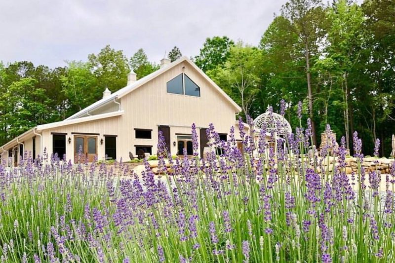 North Carolina Lavender Farm