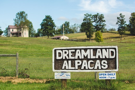 alpaca farms in VA