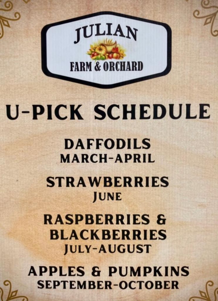 6 Places for the Best Strawberry Picking San Diego Days Out On The Farm