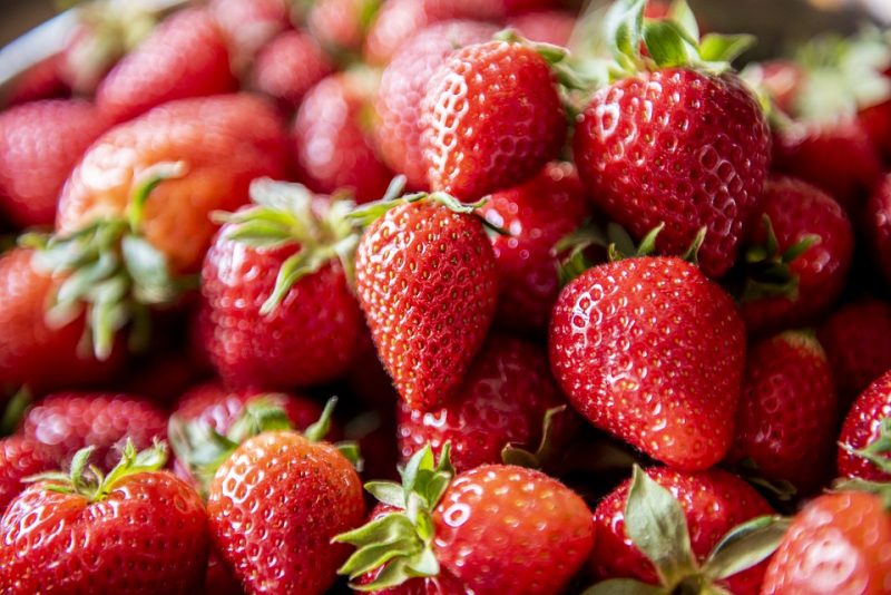 strawberry picking san diego