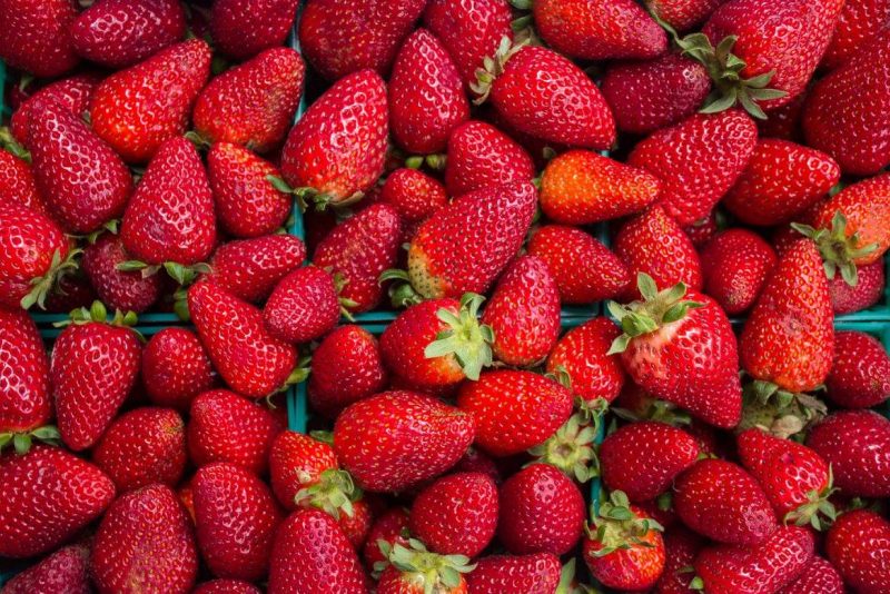 upick strawberries California