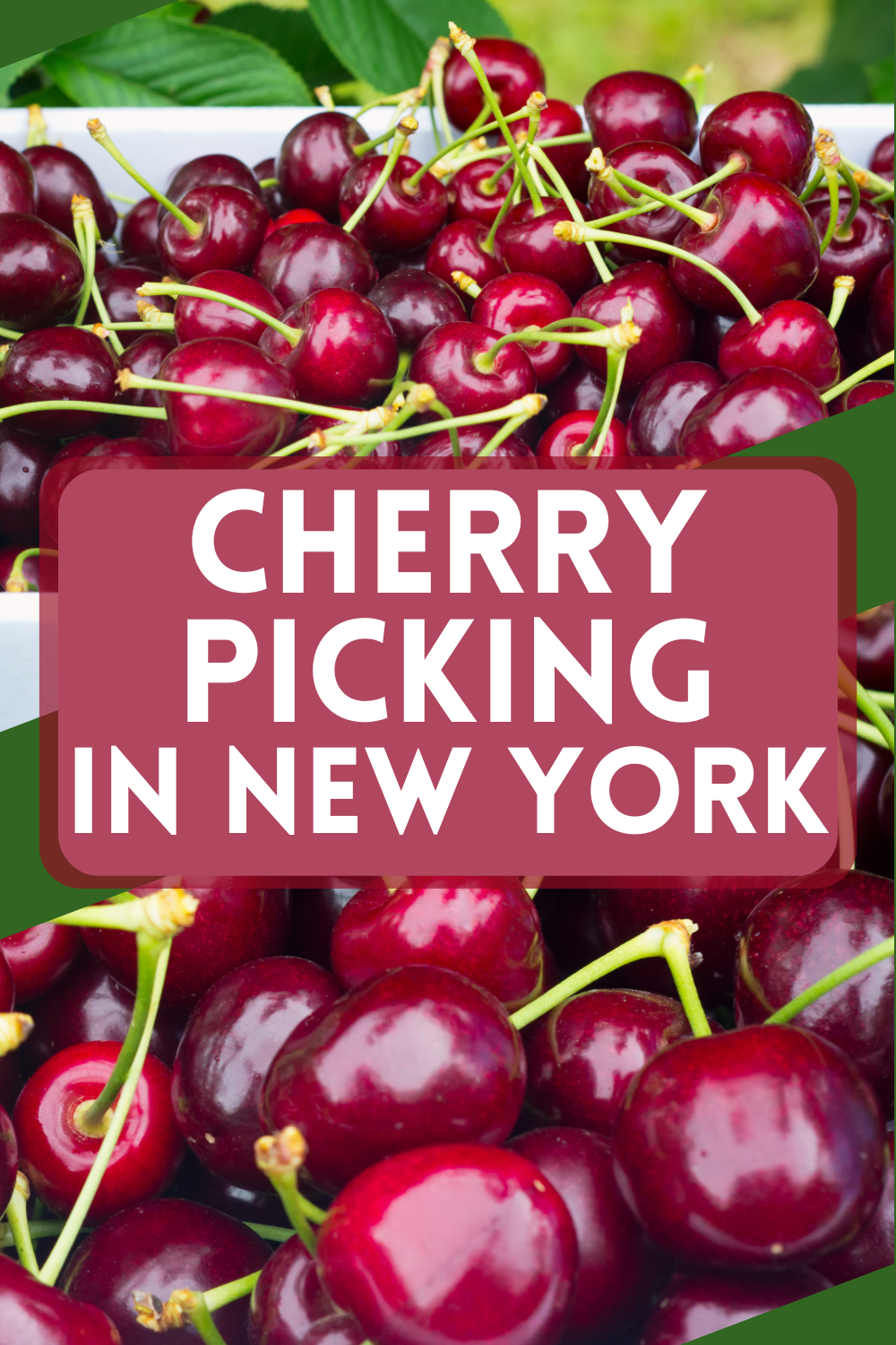 cherry picking in NY