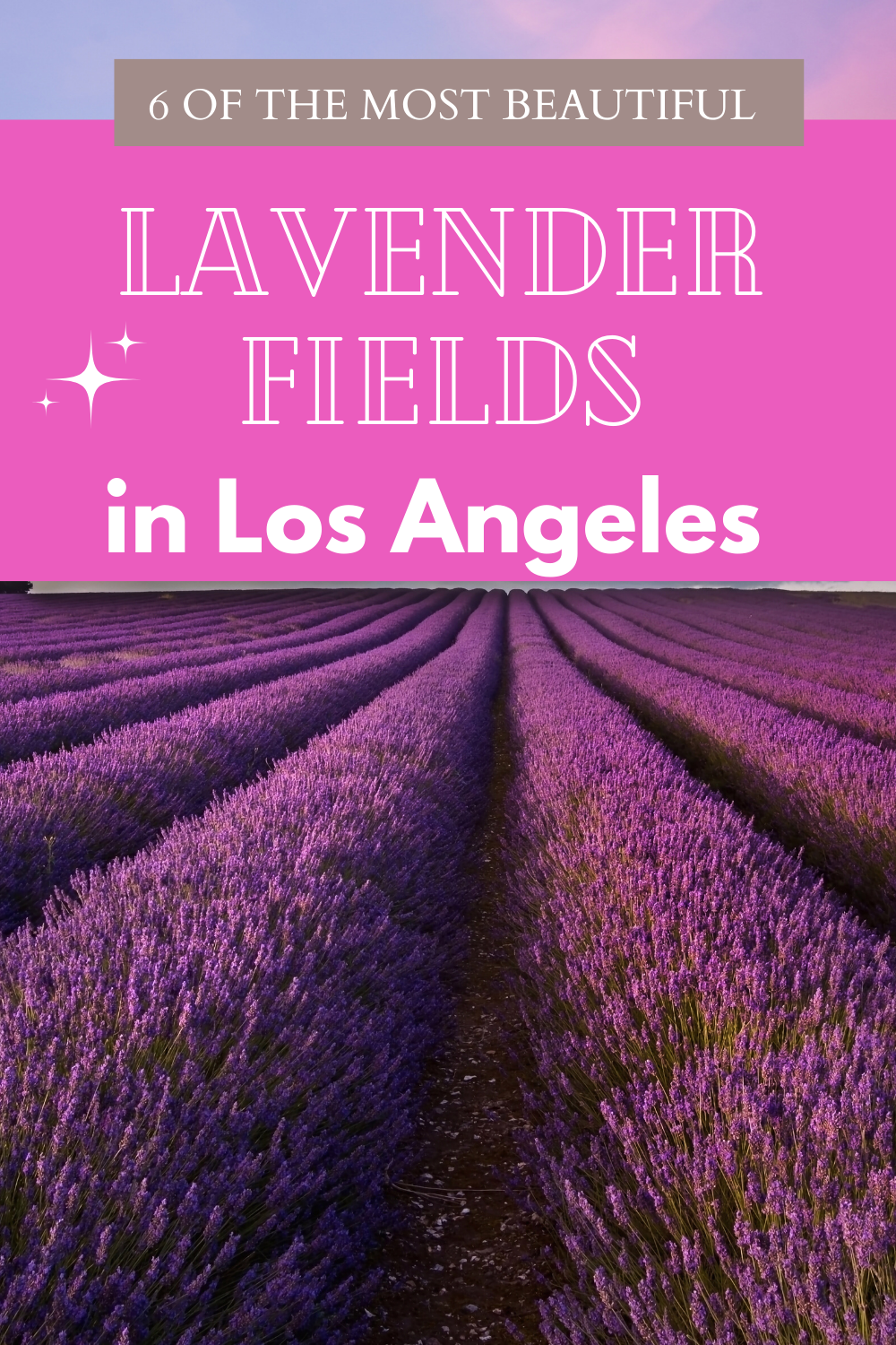 Lavender Farms near LA