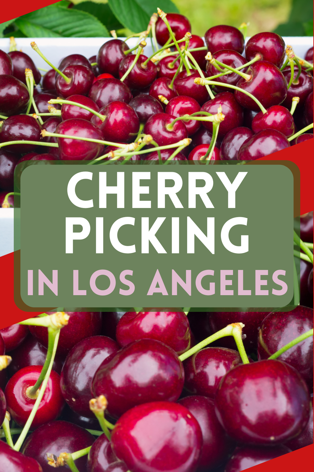 cherry picking LA
