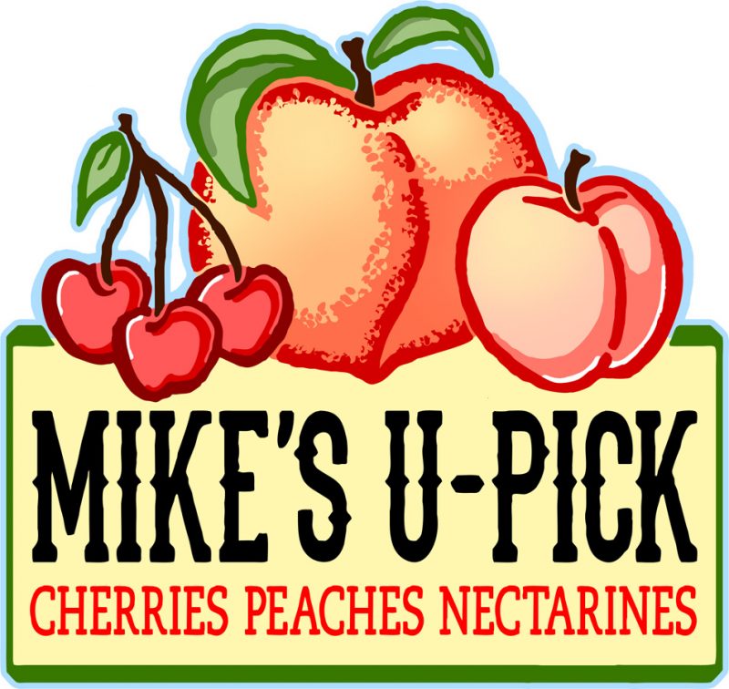 u-pick peaches bay area