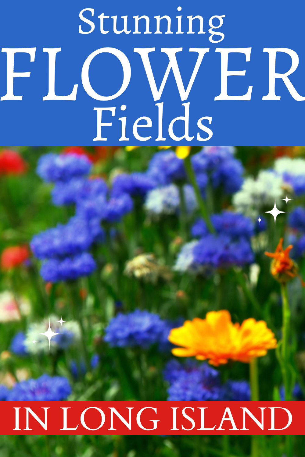 flower fields long island