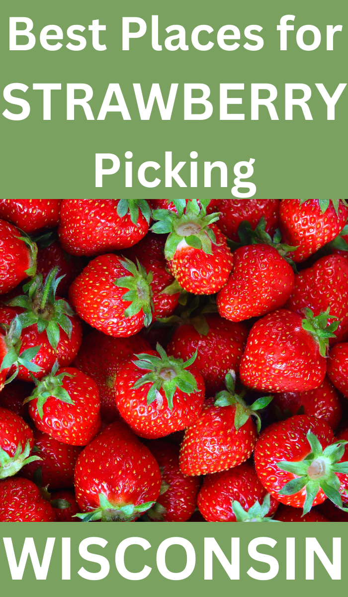Wisconsin U-pick Strawberry Farms