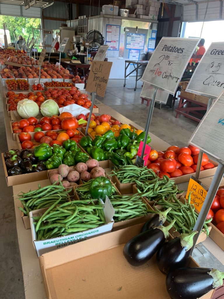 10 Places for the Best Vegetable Picking Near Me Days Out On The Farm