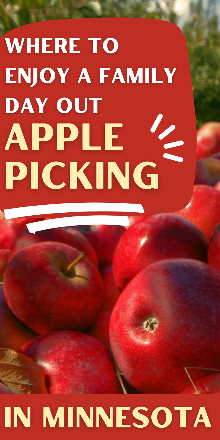 Apple Picking Farms Minnesota