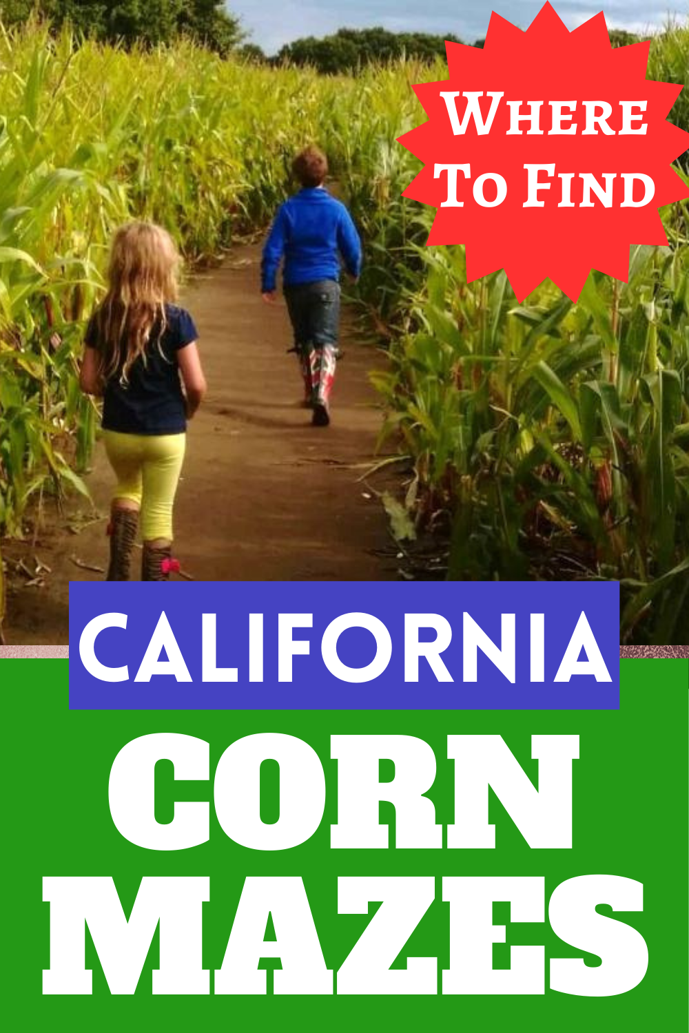 corn mazes in california