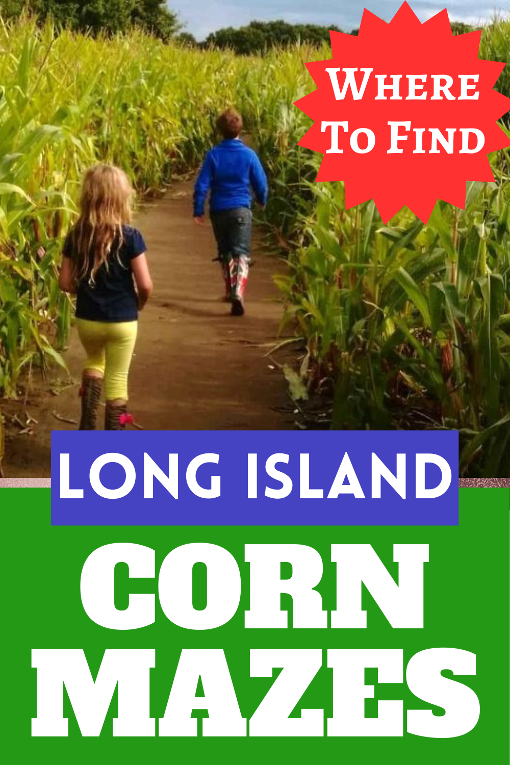 long island corn mazes