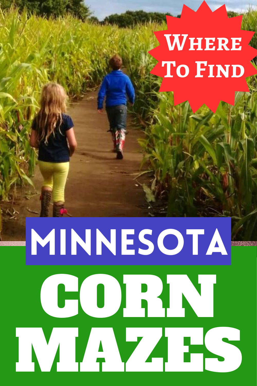 Corn Mazes in Minnesota