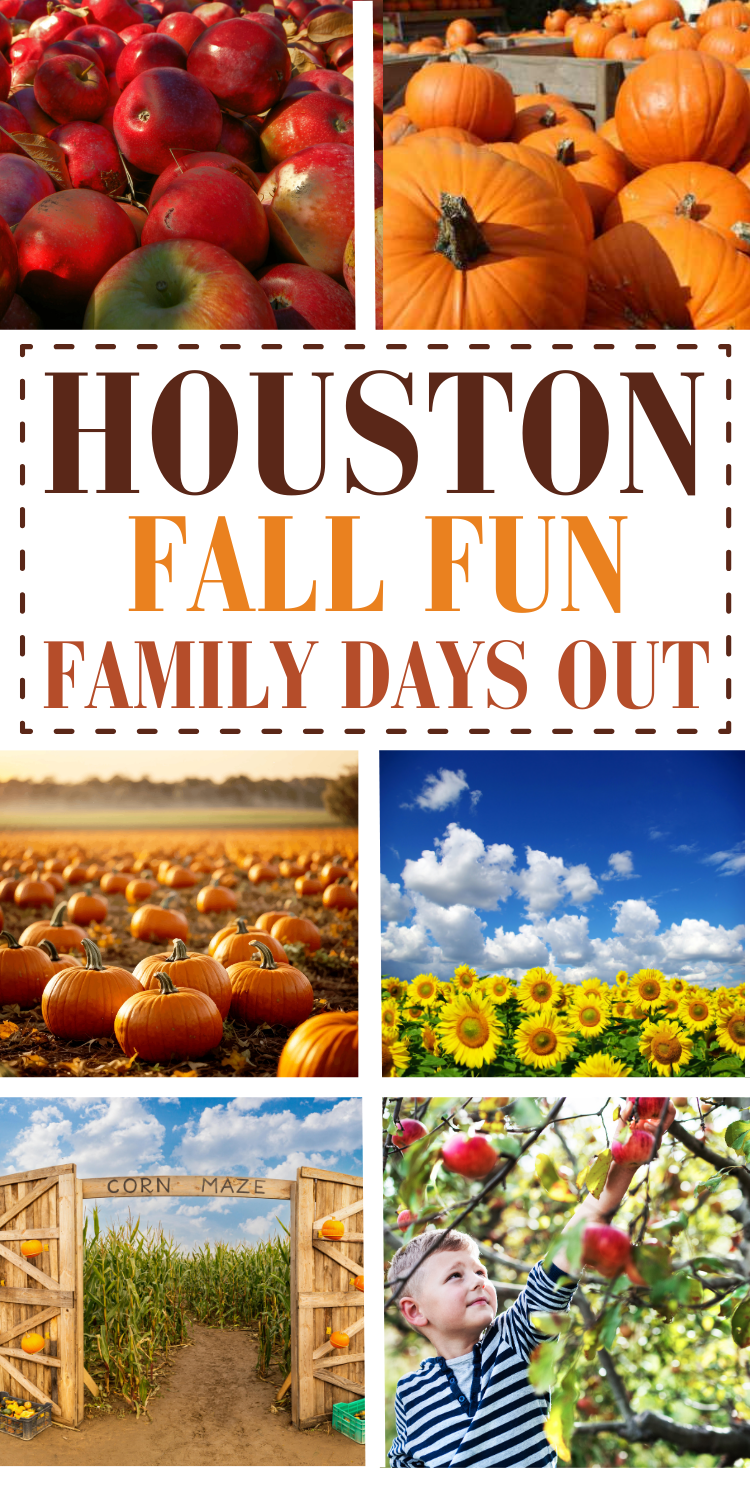 Fall Fun Family Days Out Houston