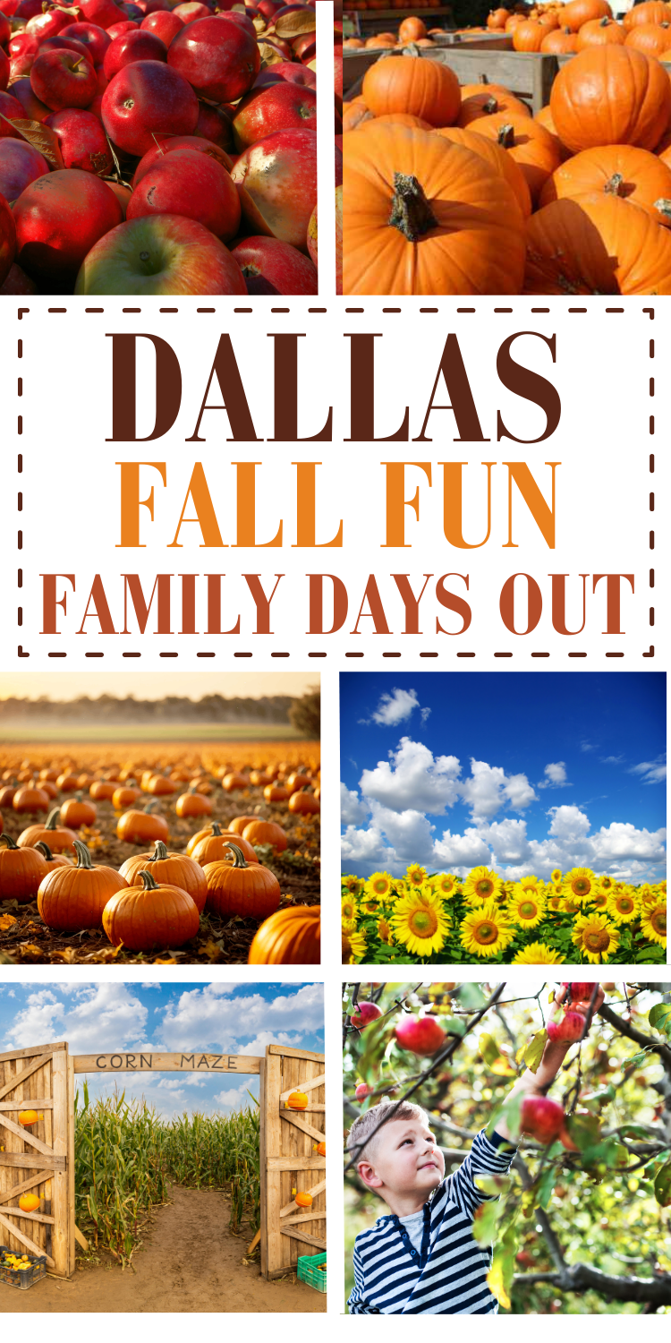 Fall Fun Family Days Out Dallas