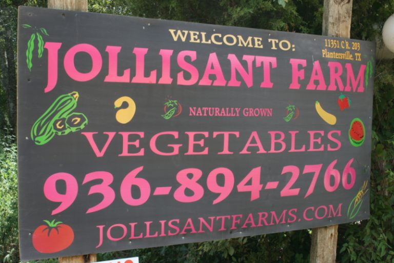 10 Places for the Best Vegetable Picking Near Me Days Out On The Farm