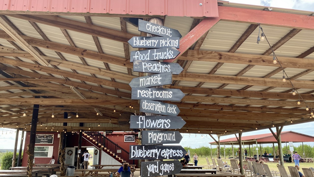 8 Places for the Best Strawberry Picking in Orlando Fruit Picking