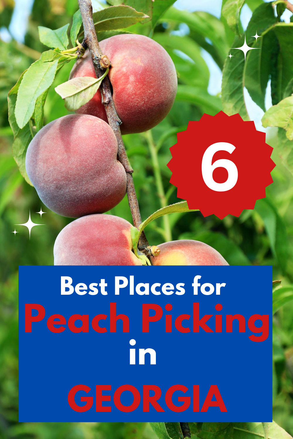 Peach Picking Farms in Georgia