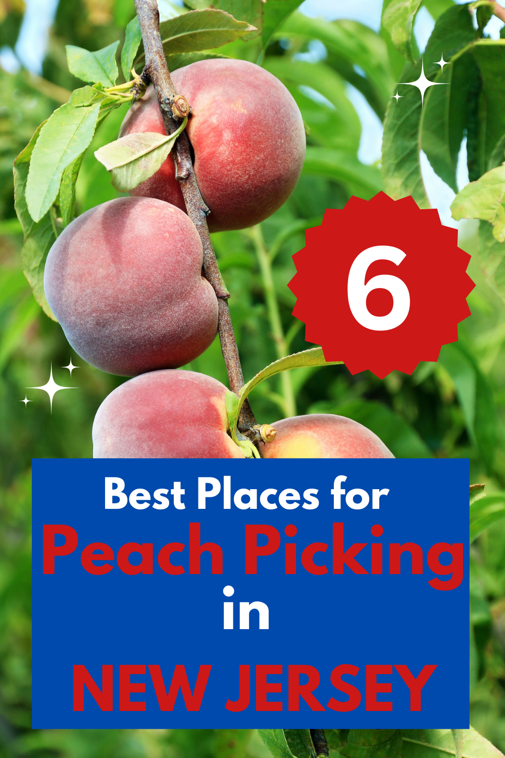 New Jersey Peach Picking Farms