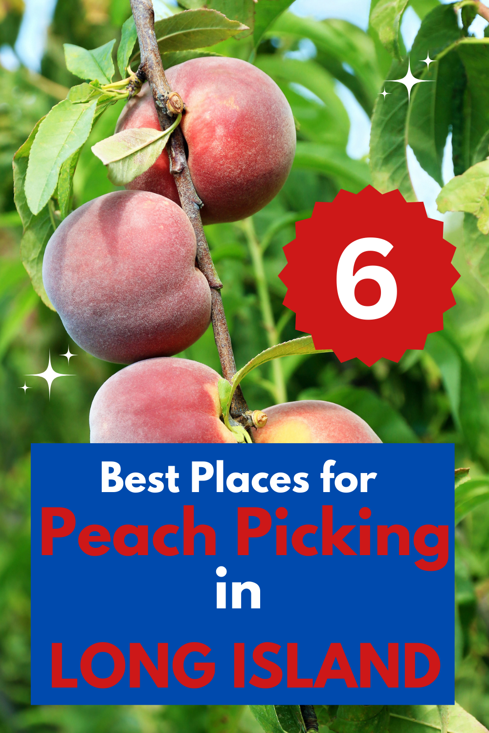 pyo peaches long island