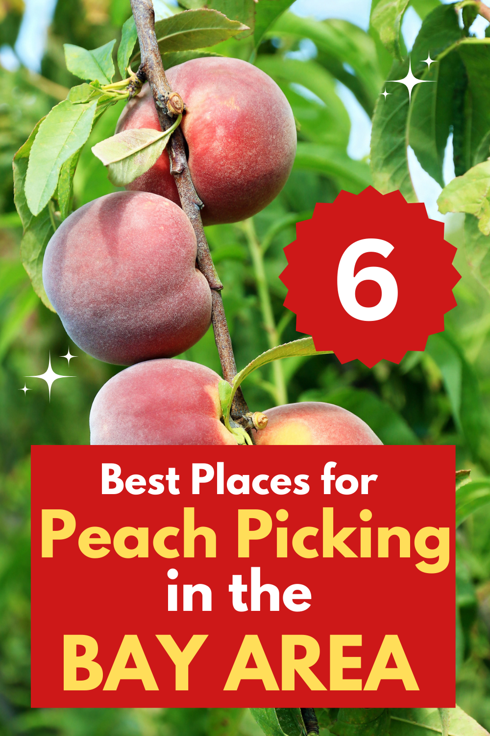 Peach Picking Farms Bay Area
