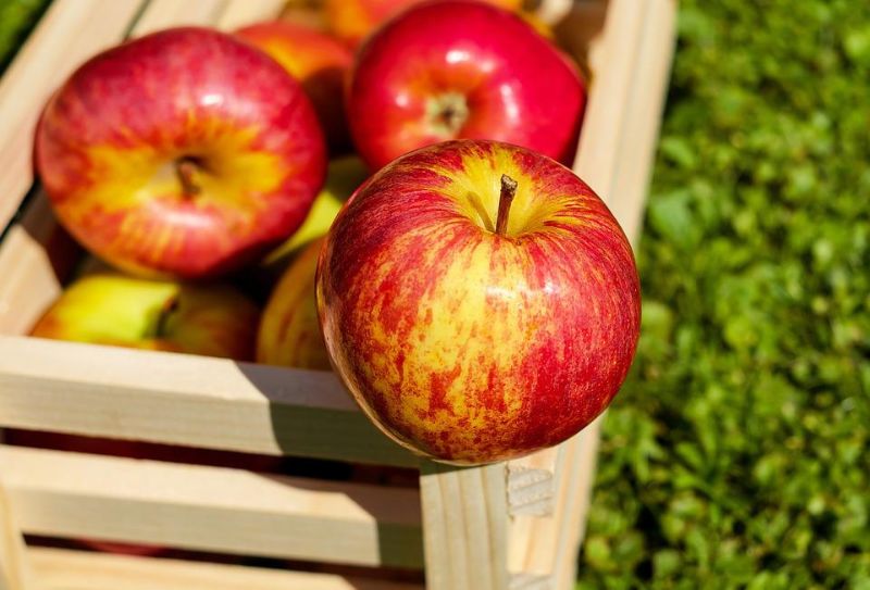 fall apple recipes