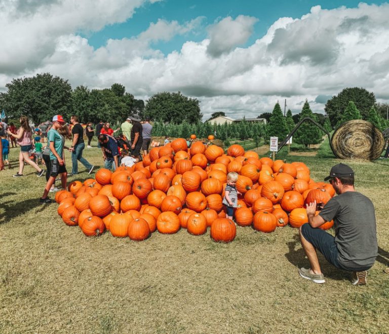 8 Best Fruit Picking Farms in Houston, TX Fruit Picking Farms Near Me