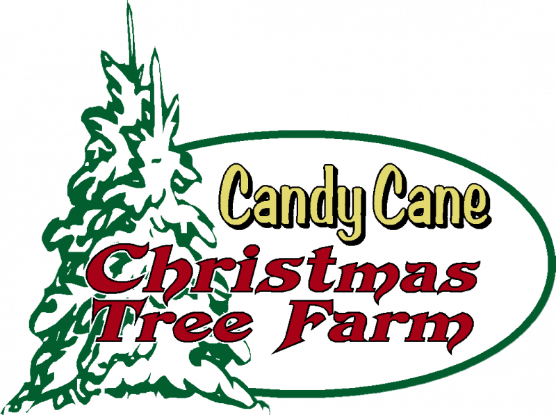 Christmas Tree Farm MI