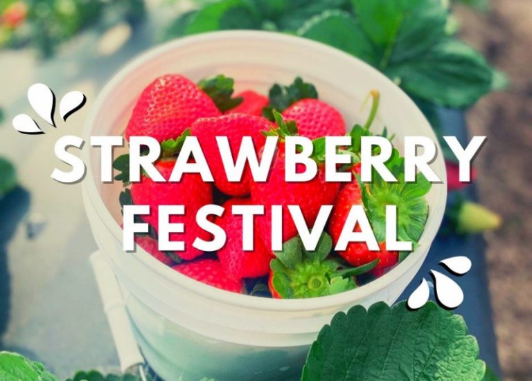 8 Places for the Best Strawberry Picking in Orlando Days Out On The Farm